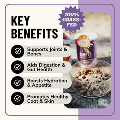 Fido's bone broth powder scoop shows simple measurement for daily nutrition.