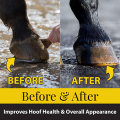 Close-up of Fiebing's Hoof Oil bottle reveals glossy finish and conditioning.