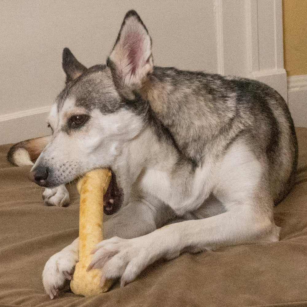 Fieldcrest Farms chicken-flavor chew; appetizing aroma fuels rewarding chewing sessions.