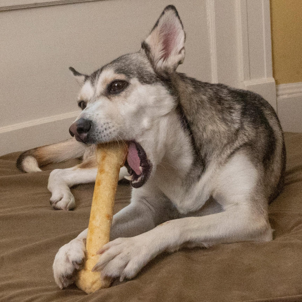 Fieldcrest Farms knotted bone chew; ergonomic shape supports easy grip and longer play.