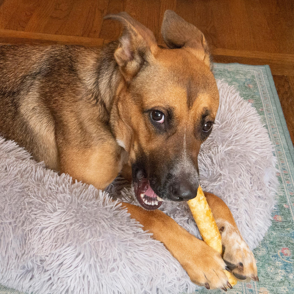 Fieldcrest Farms Nothin’ to Hide beef-flavored chew—protein-rich treat with flavor appeal.
