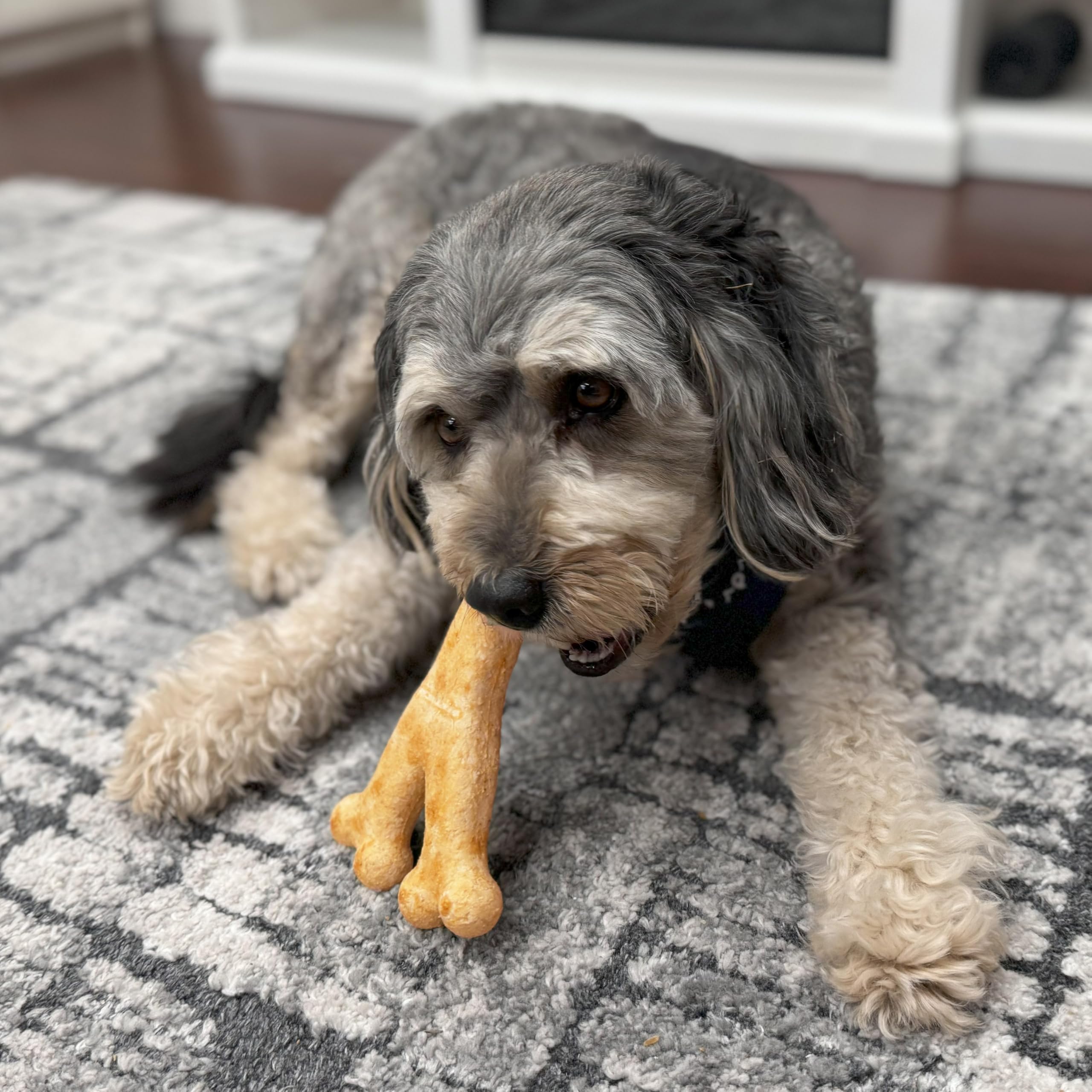Fieldcrest Farms Nothin’ to Hide dense-texture chew supports longer chew sessions.