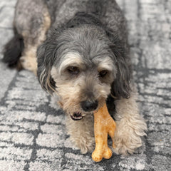 Fieldcrest Farms Nothin’ to Hide gluten-free chew for sensitive stomachs.