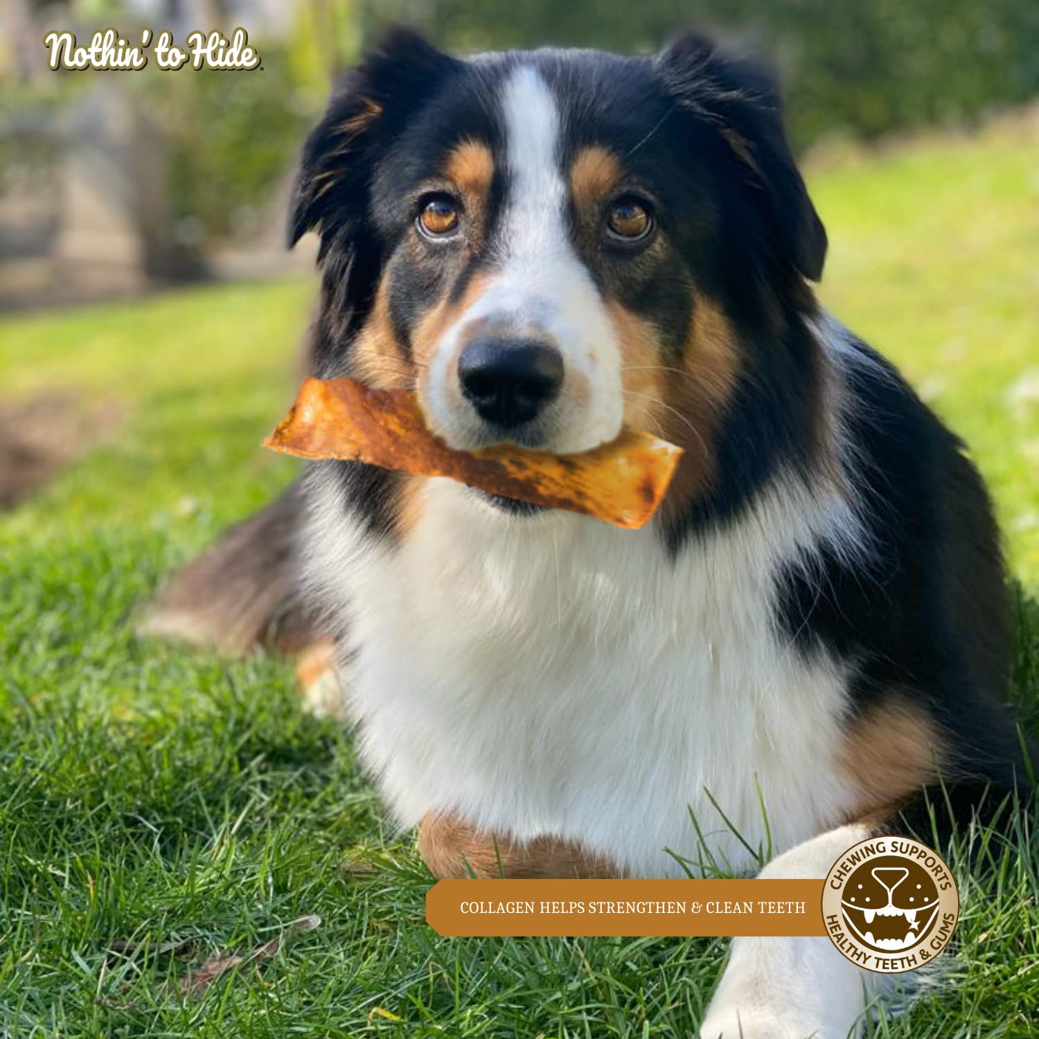 Fieldcrest Farms Nothin to Hide dental-friendly chew supports oral care.