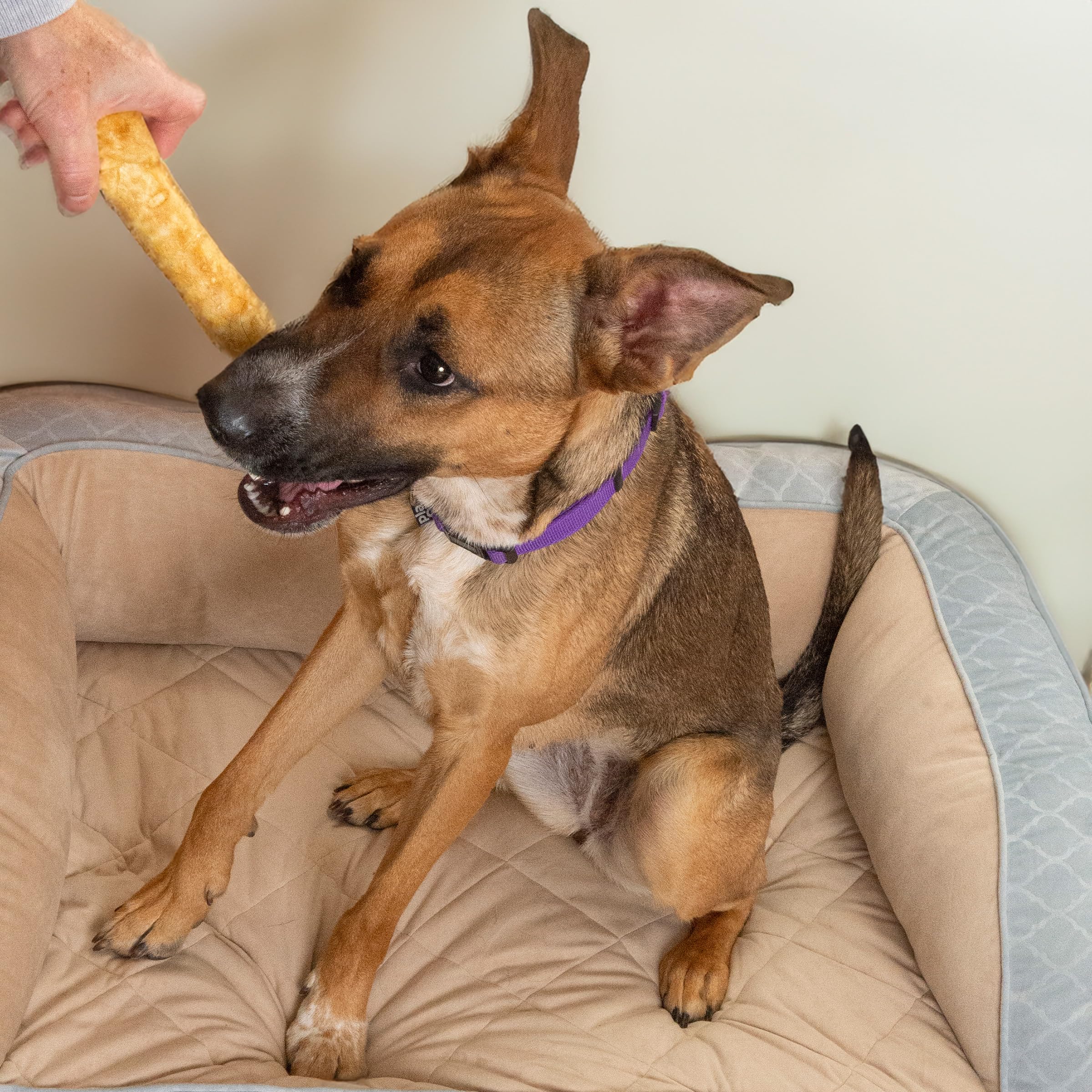 Fieldcrest Farms Nothin’ to Hide easy-grip knotted design—great for independent chewing.