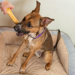 Fieldcrest Farms Nothin’ to Hide easy-grip knotted design—great for independent chewing.