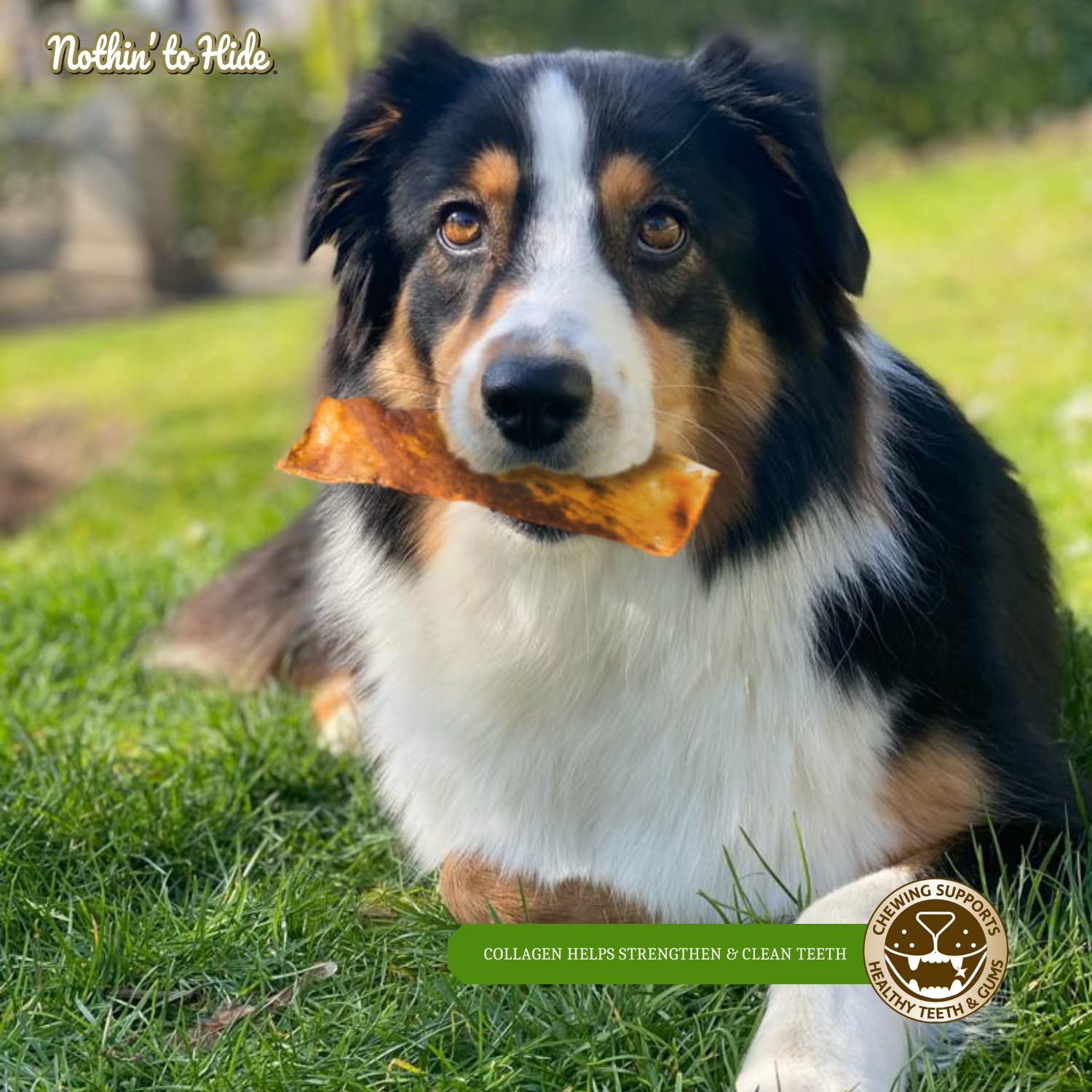 Fieldcrest Farms Nothin to Hide Flip Chips chew-action shot demonstrates dental-friendly chewing