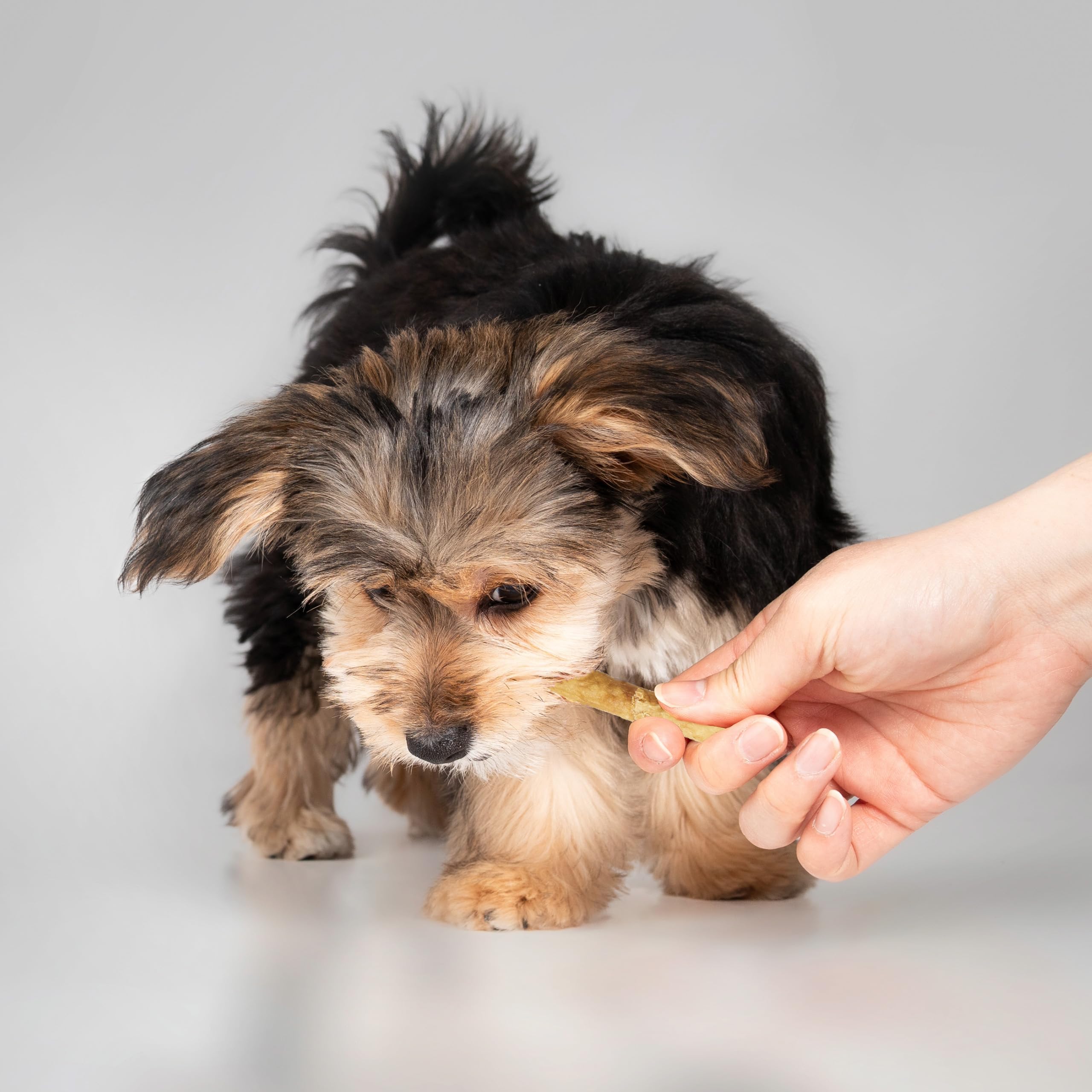 Beef flavor on Twist Stix promotes palatable coat-friendly treat.