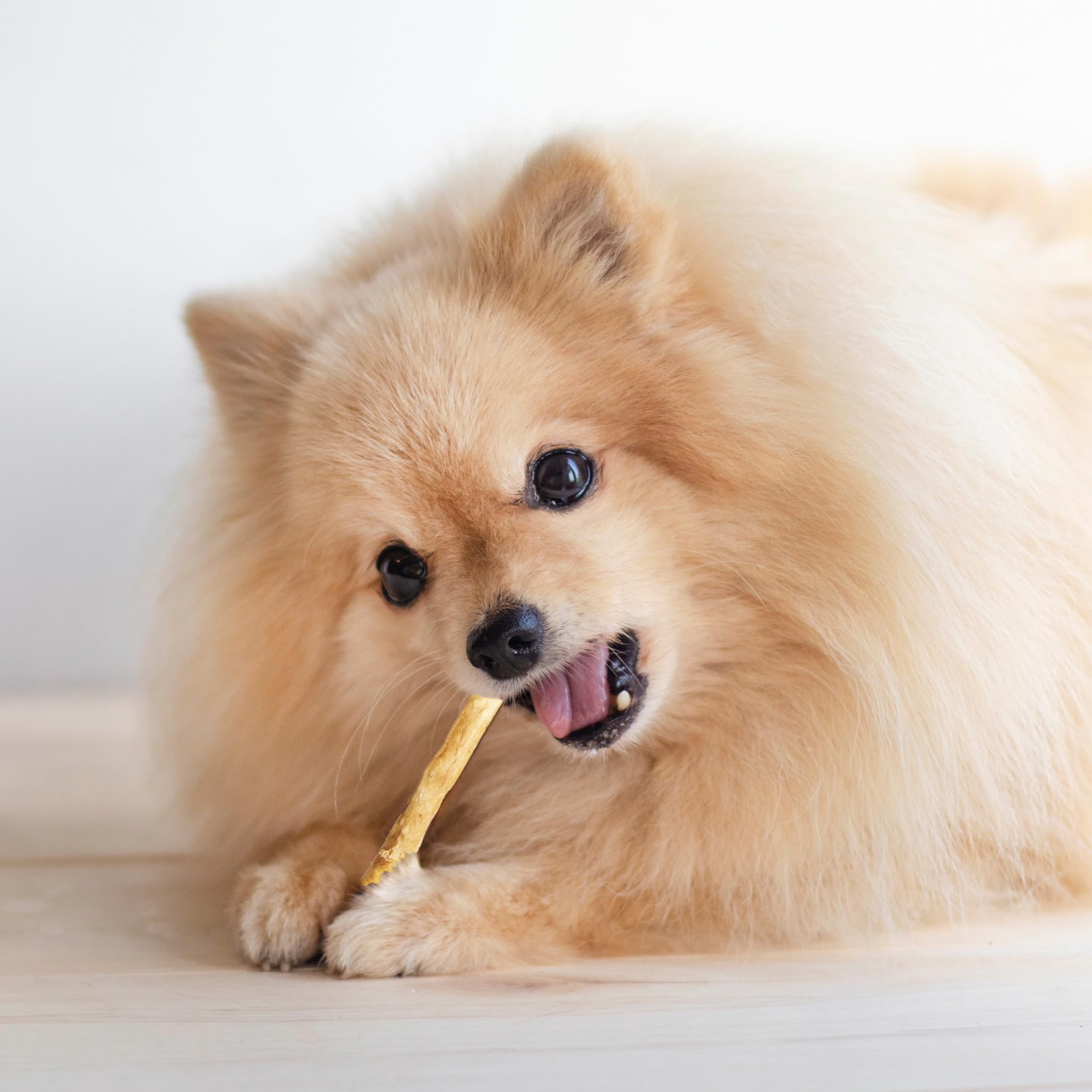 Rawhide-free label highlighted on Twist Stix packaging.