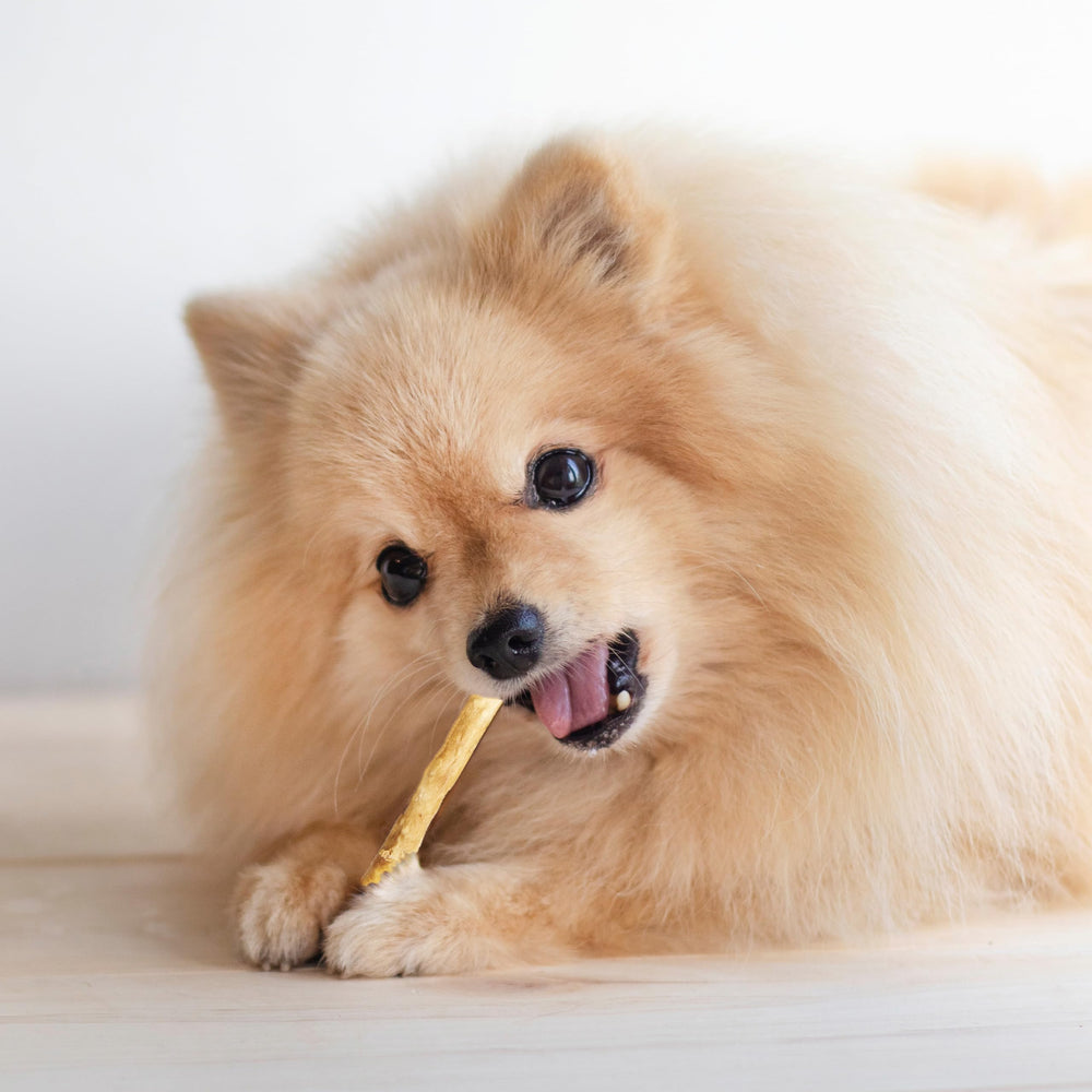 Rawhide-free label highlighted on Twist Stix packaging.
