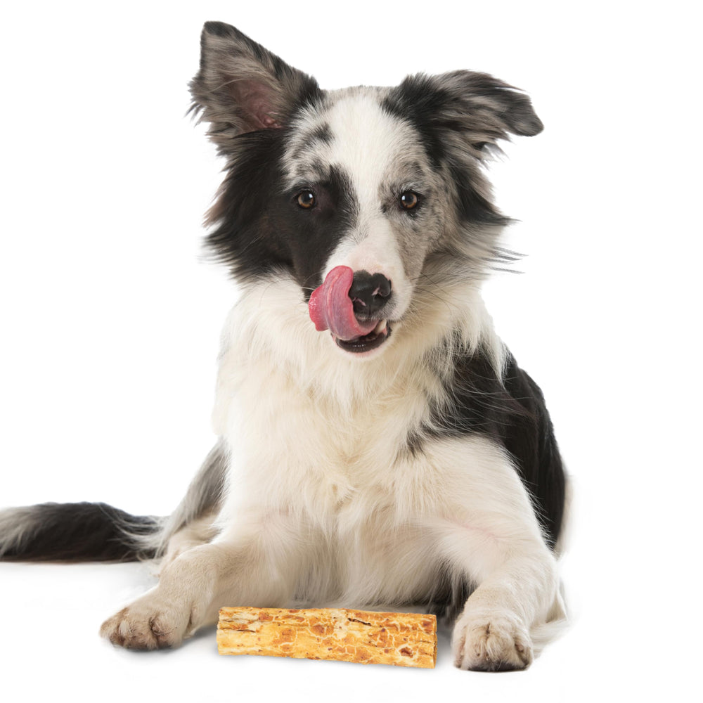 Fieldcrest Farms Nothing to Hide dog chewing demonstrates satisfying, safe chewing