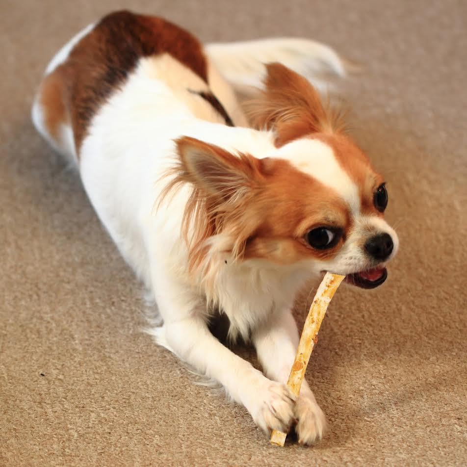Fieldcrest Farms Nothing to Hide Twist Stix dental benefits, may support clean teeth