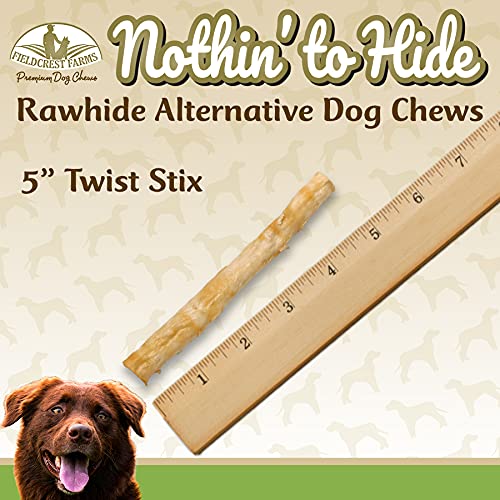 Close up of Twist Stix beside a dental model suggesting dental hygiene benefits