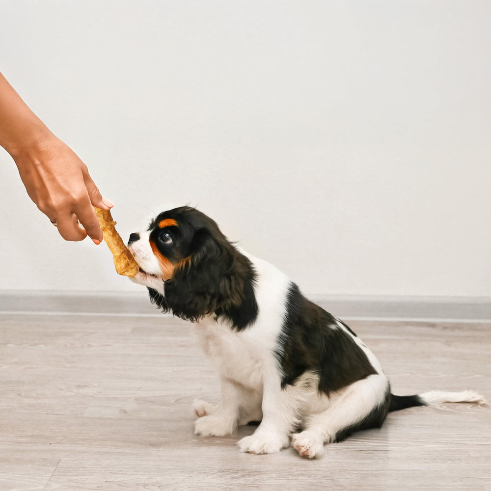 Fieldcrest Farms puppy reward chew used during training sessions