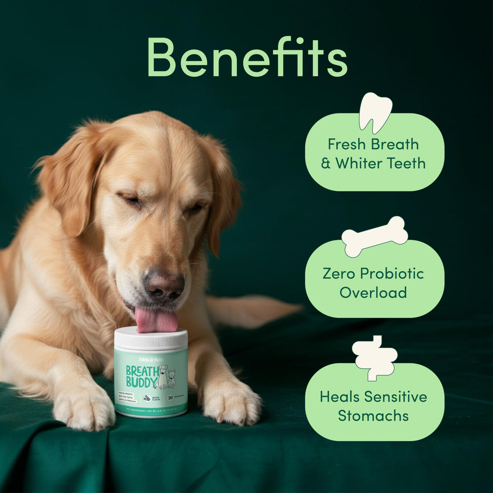 Breath Buddy bacon-flavored powder packaging appealing to dogs