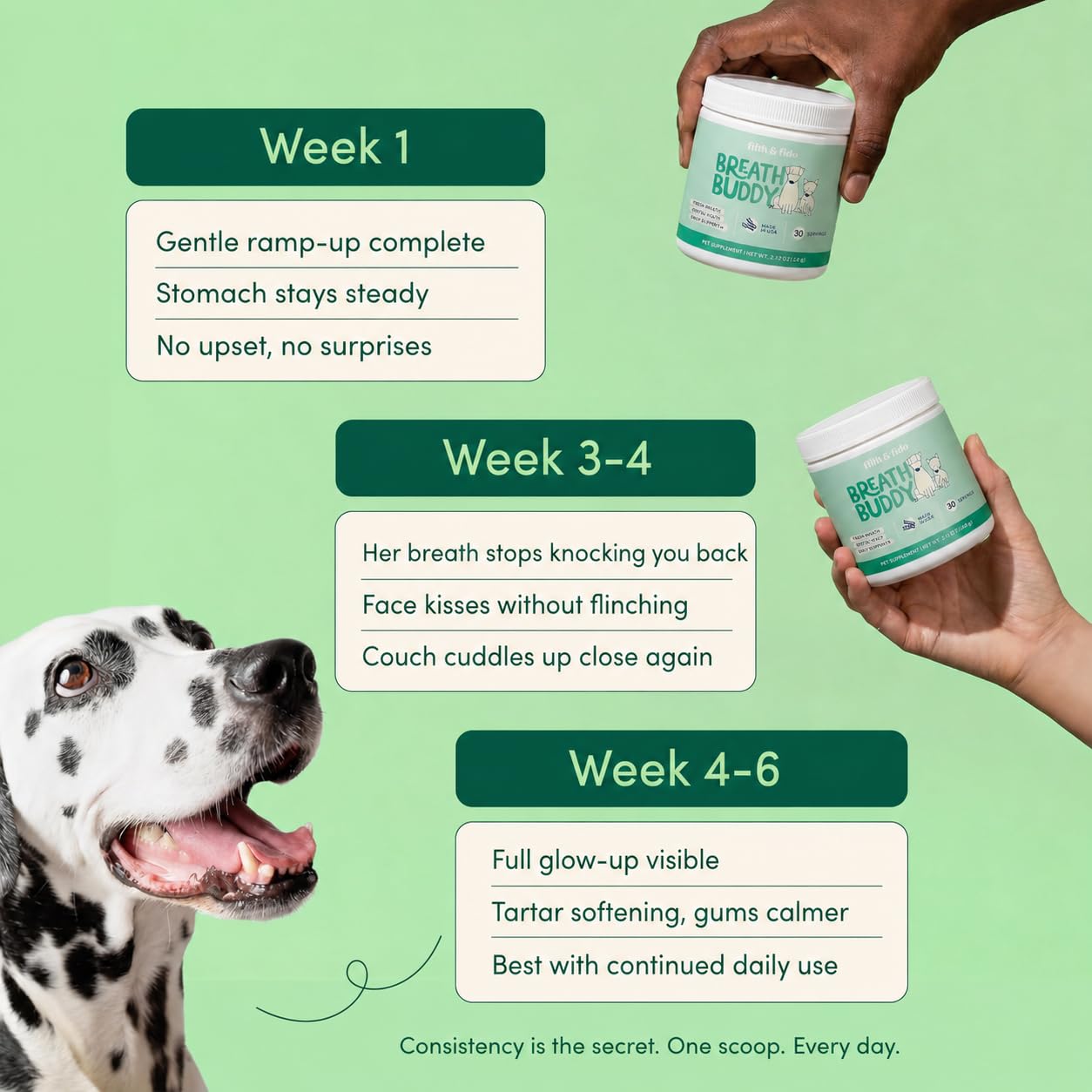 Close-up of natural Breath Buddy ingredients shown for odor control