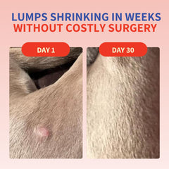 Fifth & Fido lipoma support with turkey tail powder for gentle use with meals.