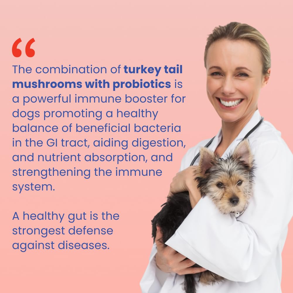 Fifth & Fido easy-mix dog food powder designed for daily routine.