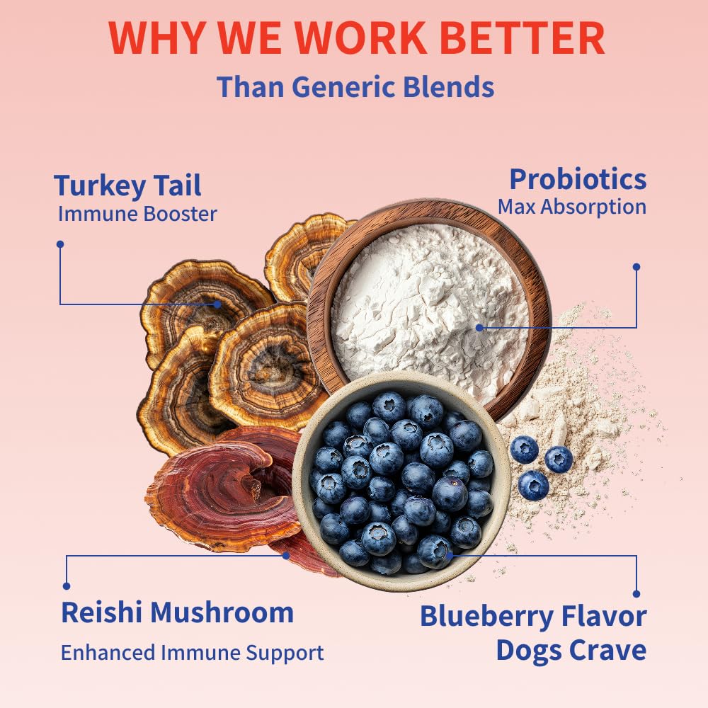 Fifth & Fido immune defense for dogs to complement a balanced diet.