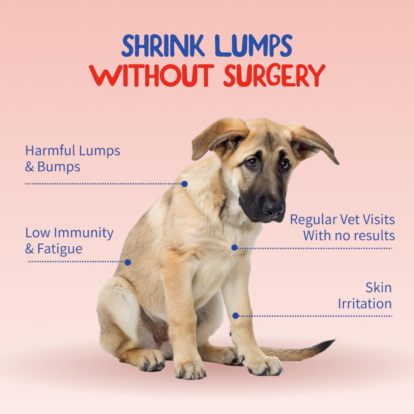 Fifth & Fido immune support for lipoma and lumps in dogs