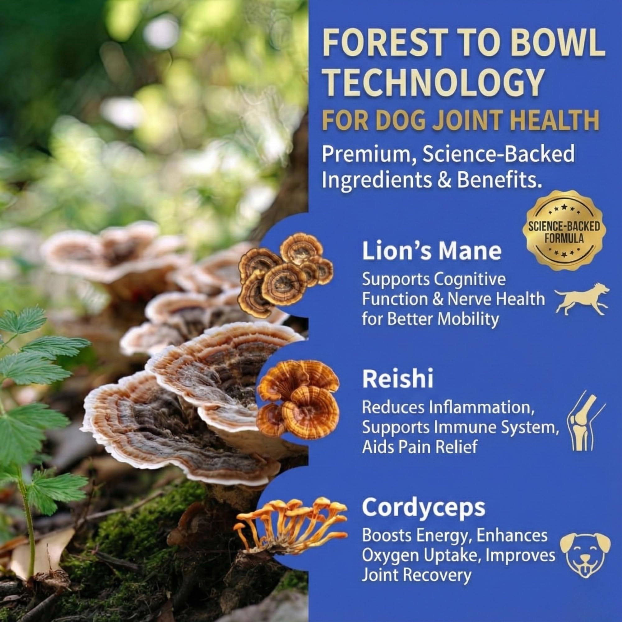 Fifth & Fido all in one toppers mix smoothly with dry or wet food.
