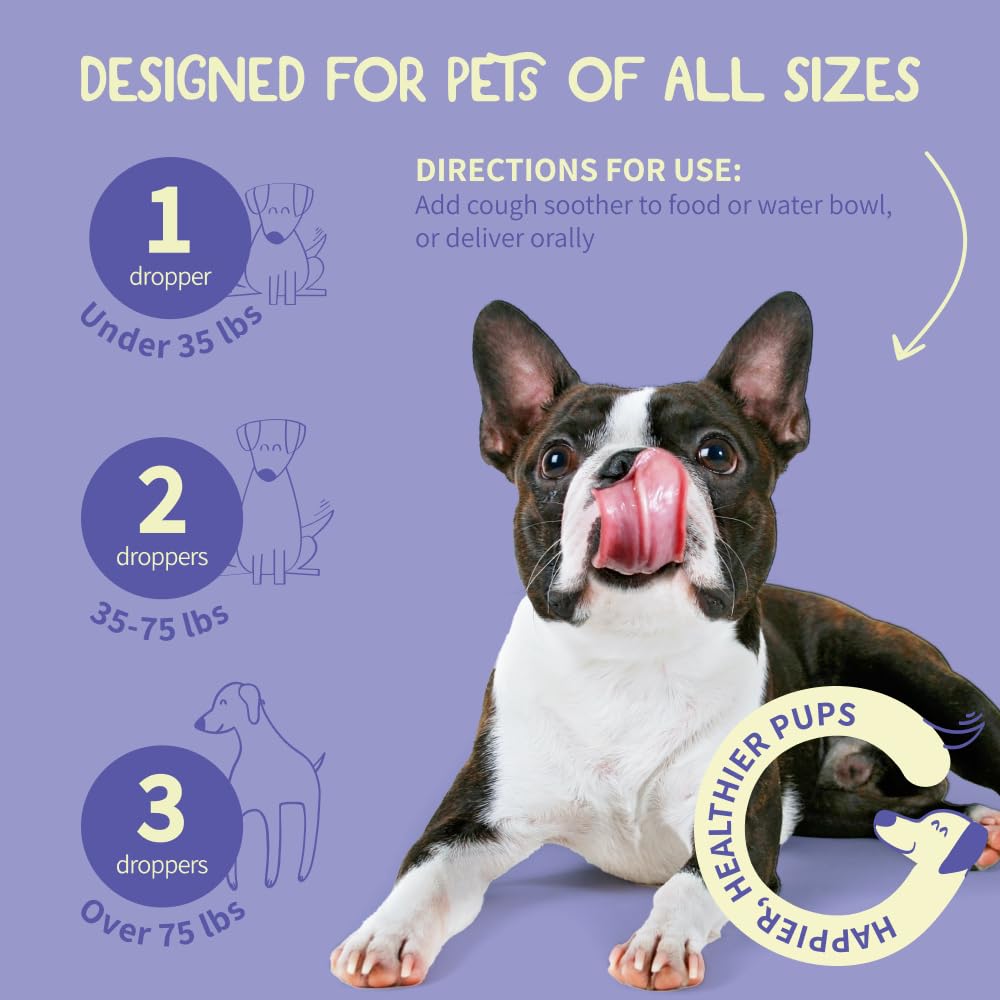 Fifth & Fido night-time solution ready for late‑hour care.