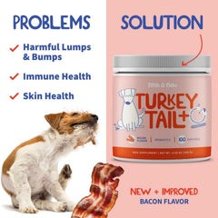 Fifth & Fido reishi dog supplement bottle signals vitality support and wellbeing.