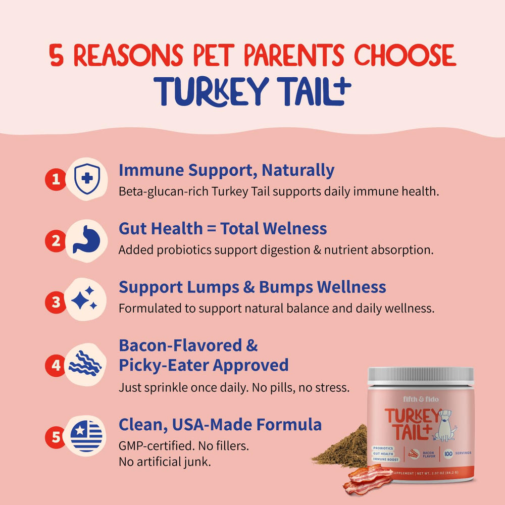 Fifth & Fido reishi mushroom powder for dogs boosts vitality