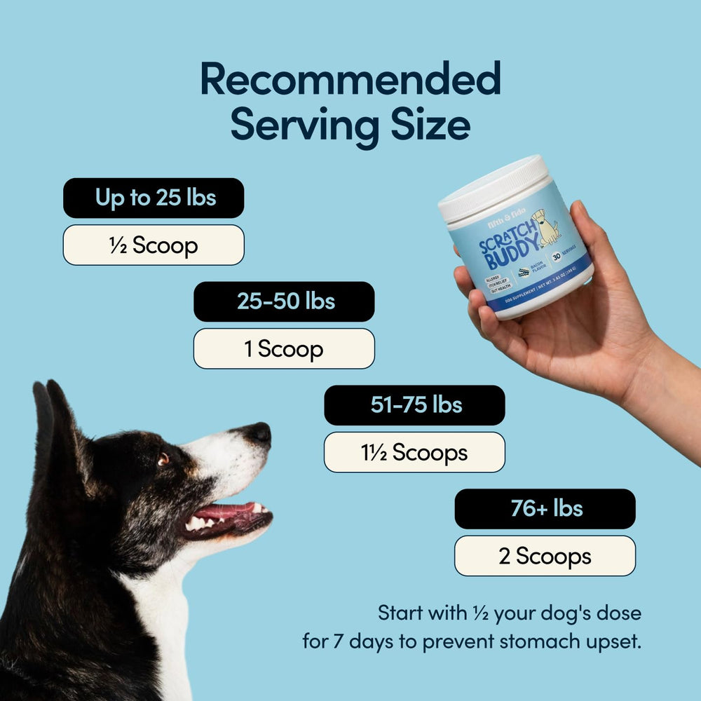 Jar of Scratch Buddy powder shown for convenient daily use