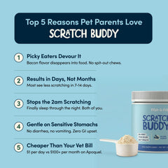 Scratch Buddy meal topper in a dog bowl blends smoothly into meals