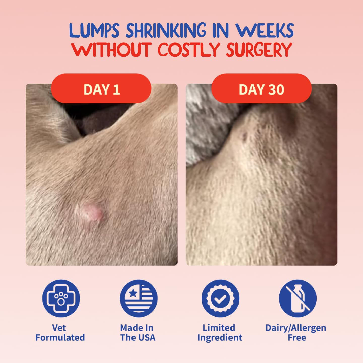 Scoop of Fifth & Fido turkey tail supplement shows easy daily dosage for digestion.