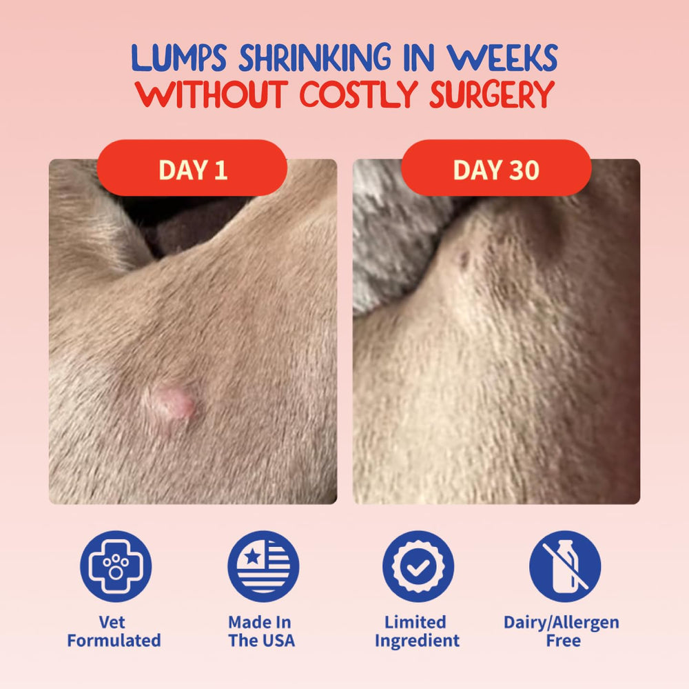Scoop of Fifth & Fido turkey tail supplement shows easy daily dosage for digestion.