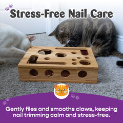 Fig & Friends cat nail file scratch box inside view shows safe textured surface.