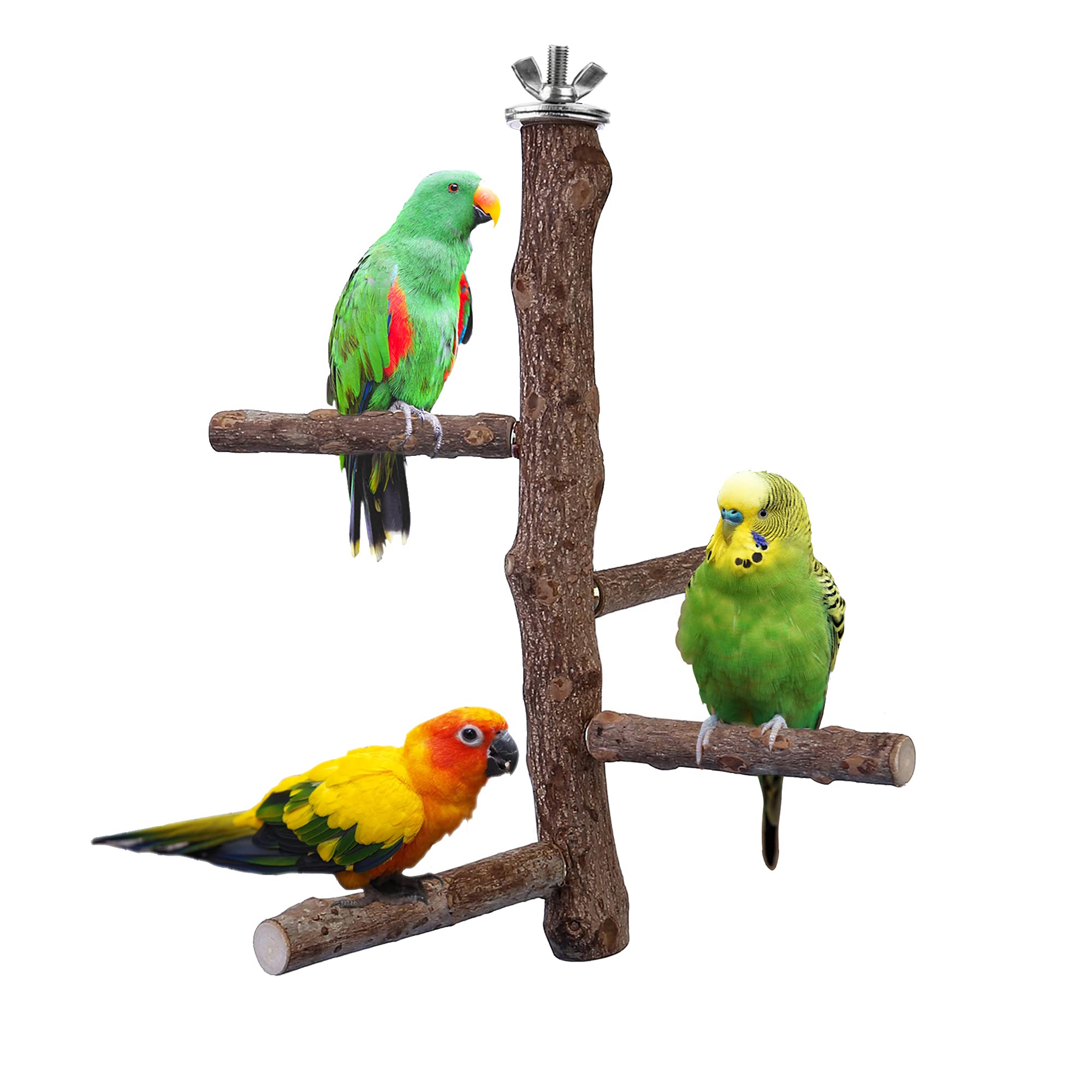 Filhome bird perch stand: natural wood branch for rest and social play.