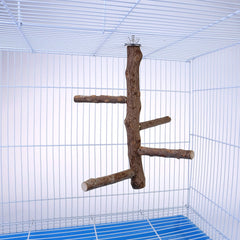 Filhome small-bird perches 10 inches long for compact cages.