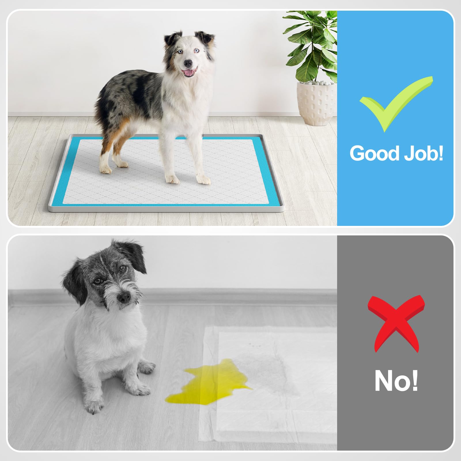 Filmicy no-spill pad tray keeps rooms clean during training sessions.
