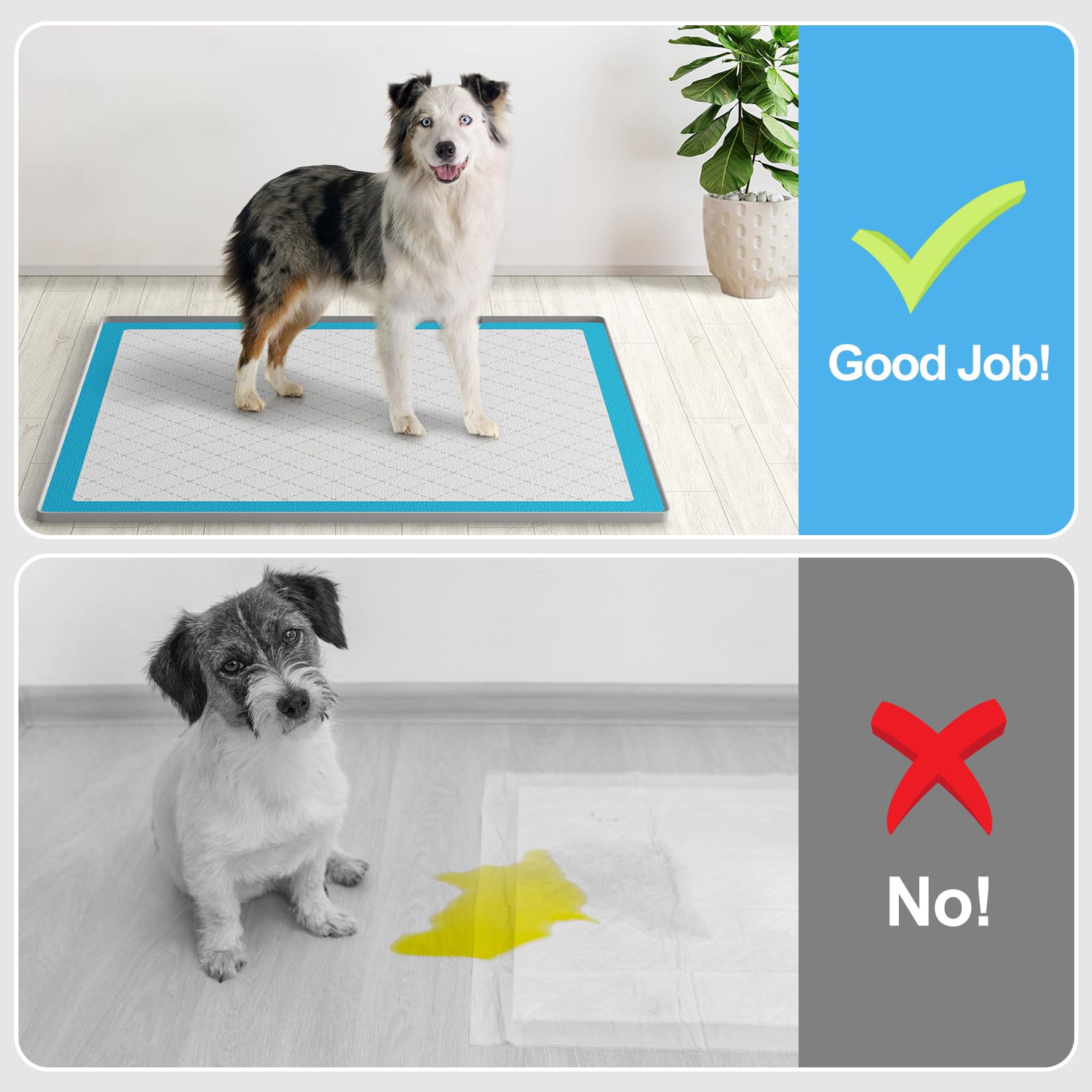 Filmicy leak-proof tray keeps urine on the pad for a cleaner home.