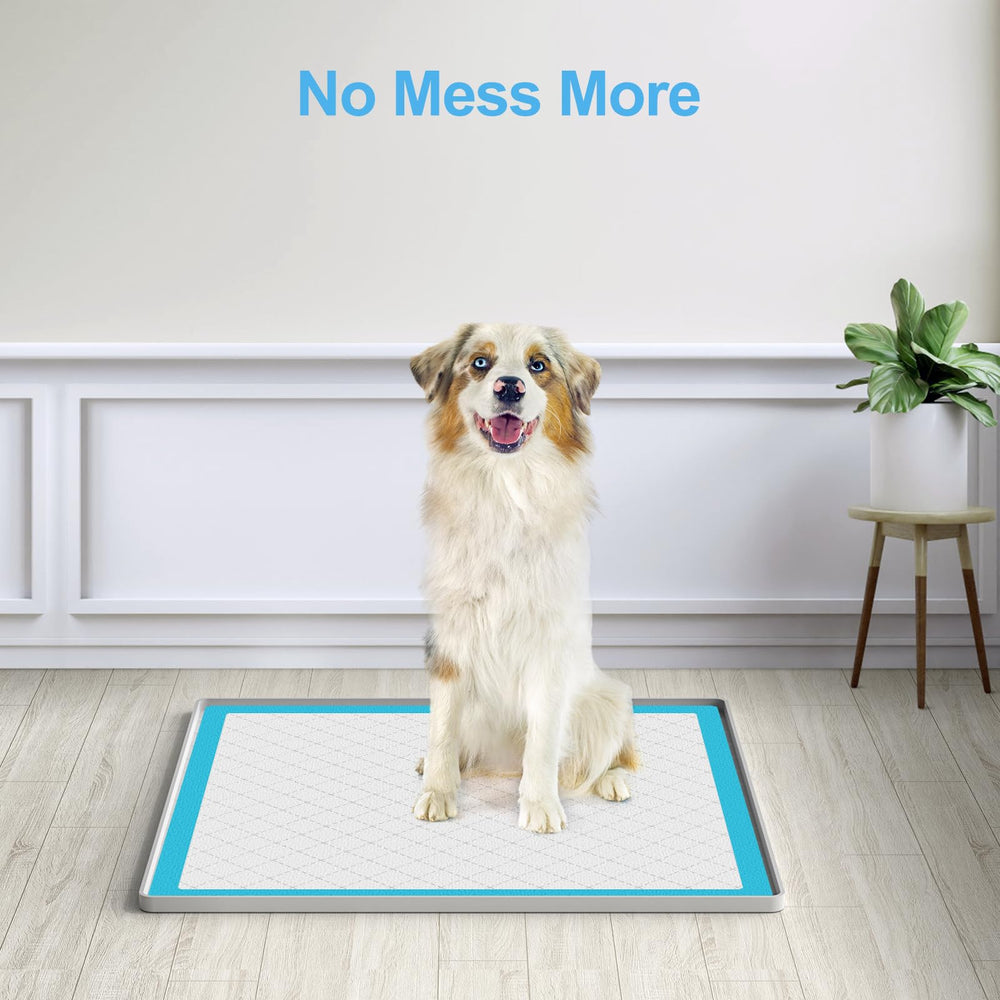 Filmicy portable dog pad holder is travel-ready for homes and apartments.