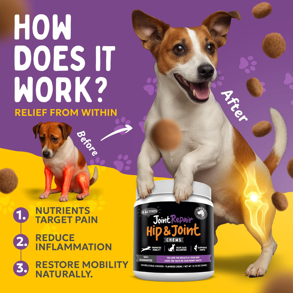 Finest For Pets Joint Repair bottle on shelf for easy daily dosing