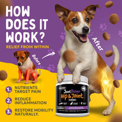 Finest For Pets Joint Repair bottle on shelf for easy daily dosing