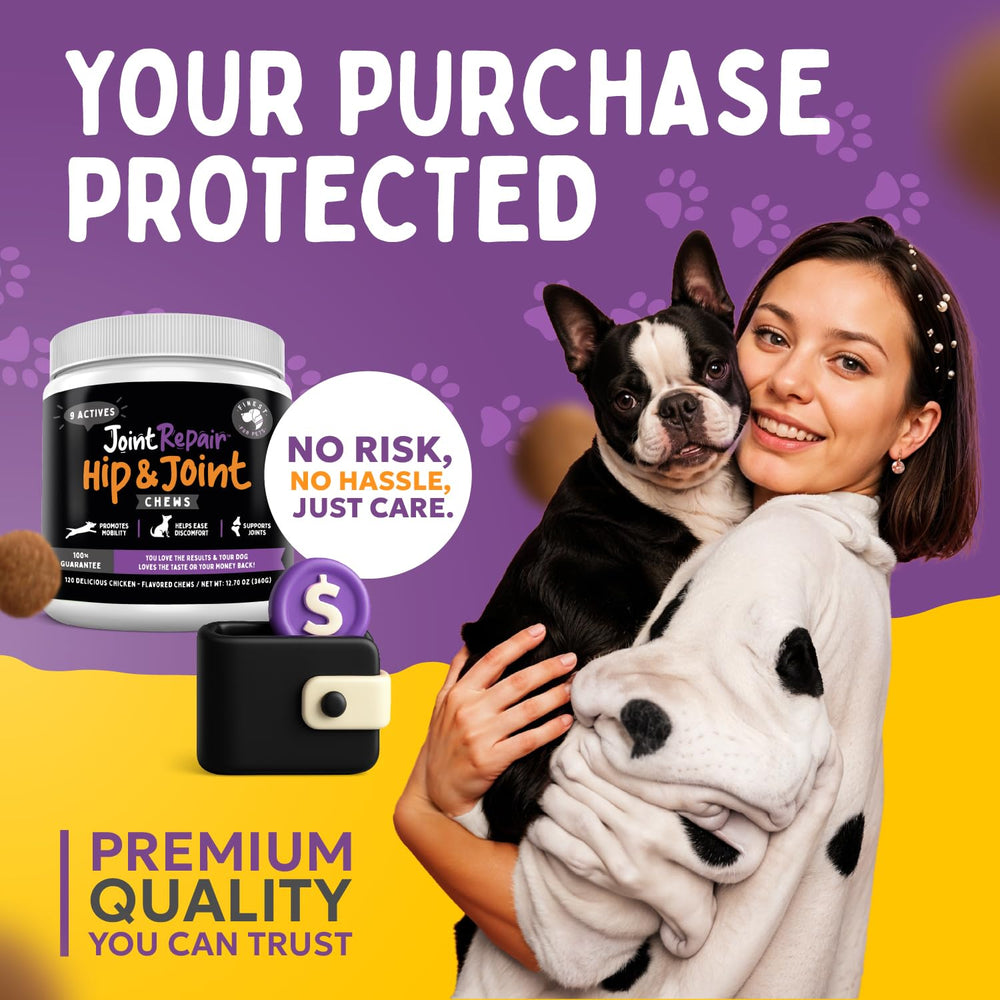 Finest For Pets Joint Repair dog running outdoors indicating active lifestyle support