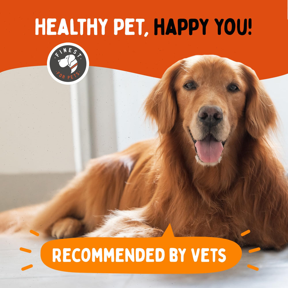 Dog walking confidently after supplement use