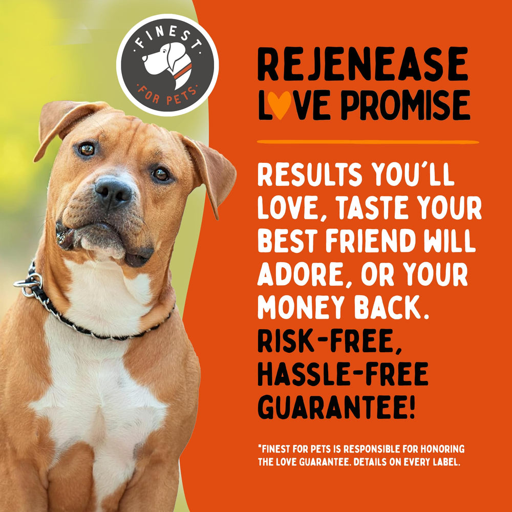 Active dog enjoying an outdoor walk after using Finest For Pets supplement.