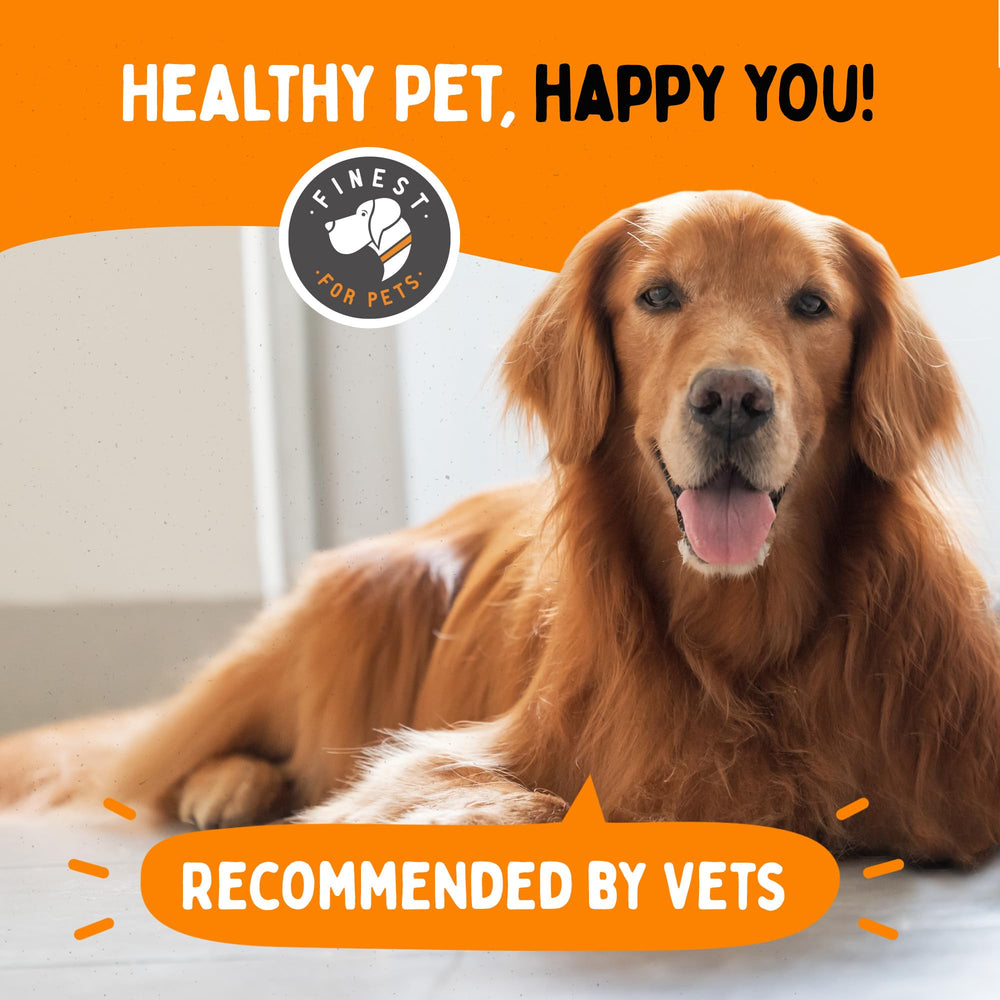 Coat health scene for Finest For Pets Omega 3 dog soft gels.