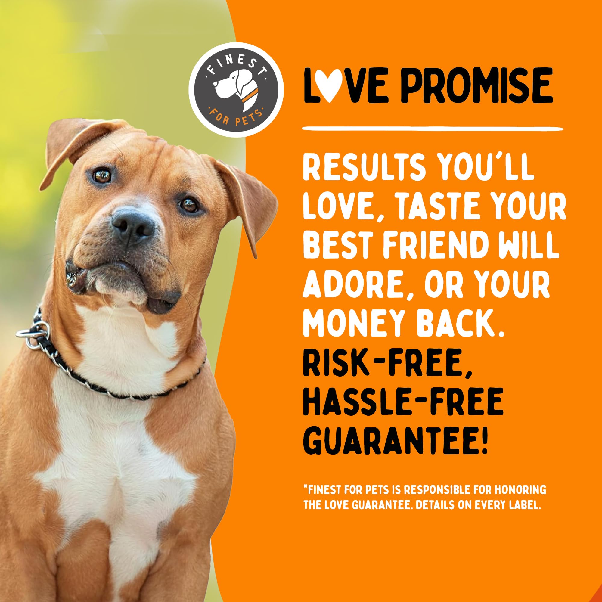 Joint support focus on Finest For Pets Omega 3 dog soft gels.