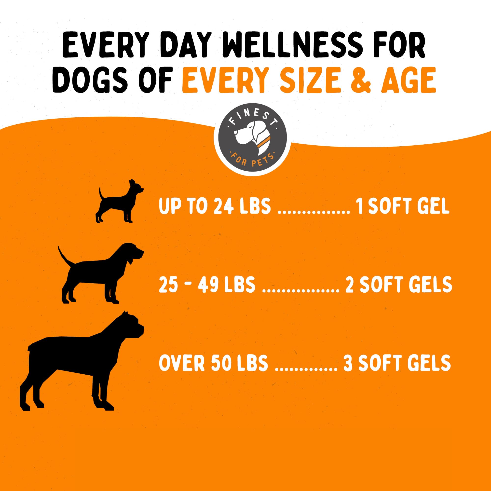 USA-made production scene for Finest For Pets Omega 3 dog soft gels.