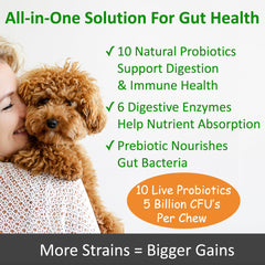 Bottle of Finest For Pets TummyWorks probiotic chews showing four months supply