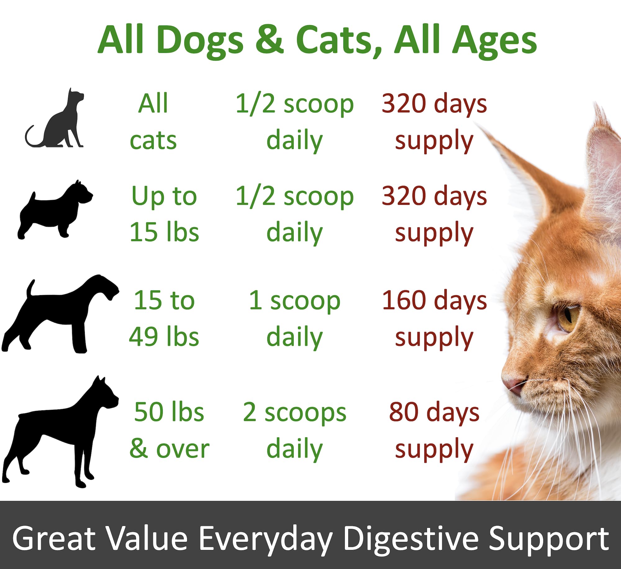 Graphic highlighting 10 probiotic strains included in TummyWorks formula.