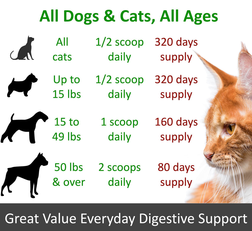 Graphic highlighting 10 probiotic strains included in TummyWorks formula.