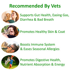 Pet meal with TummyWorks powder mixed in, for convenient daily use.